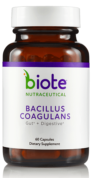 Bacillus Coagulans