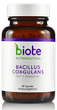 Bacillus Coagulans